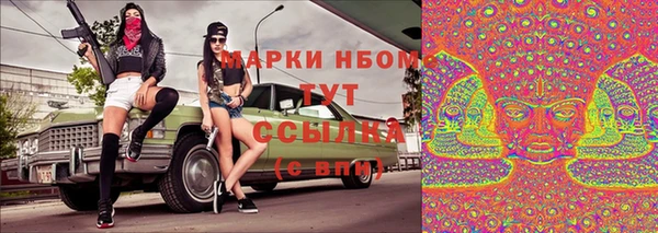 мяу мяу мука Аркадак