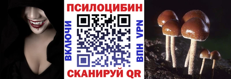 маркетплейс Telegram  Чердынь  Псилоцибиновые грибы Psilocybe 